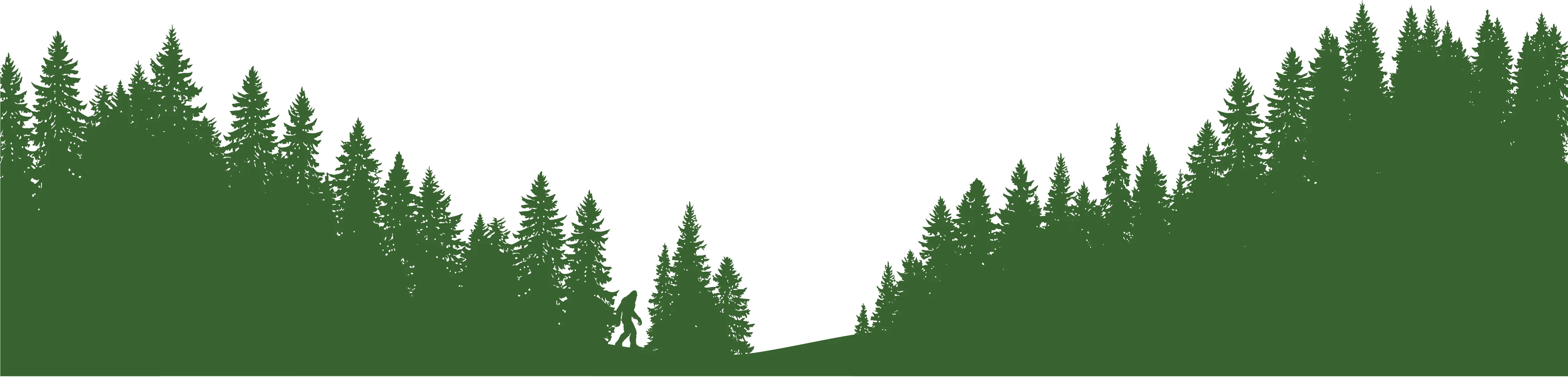 Seattle CU Footer Background